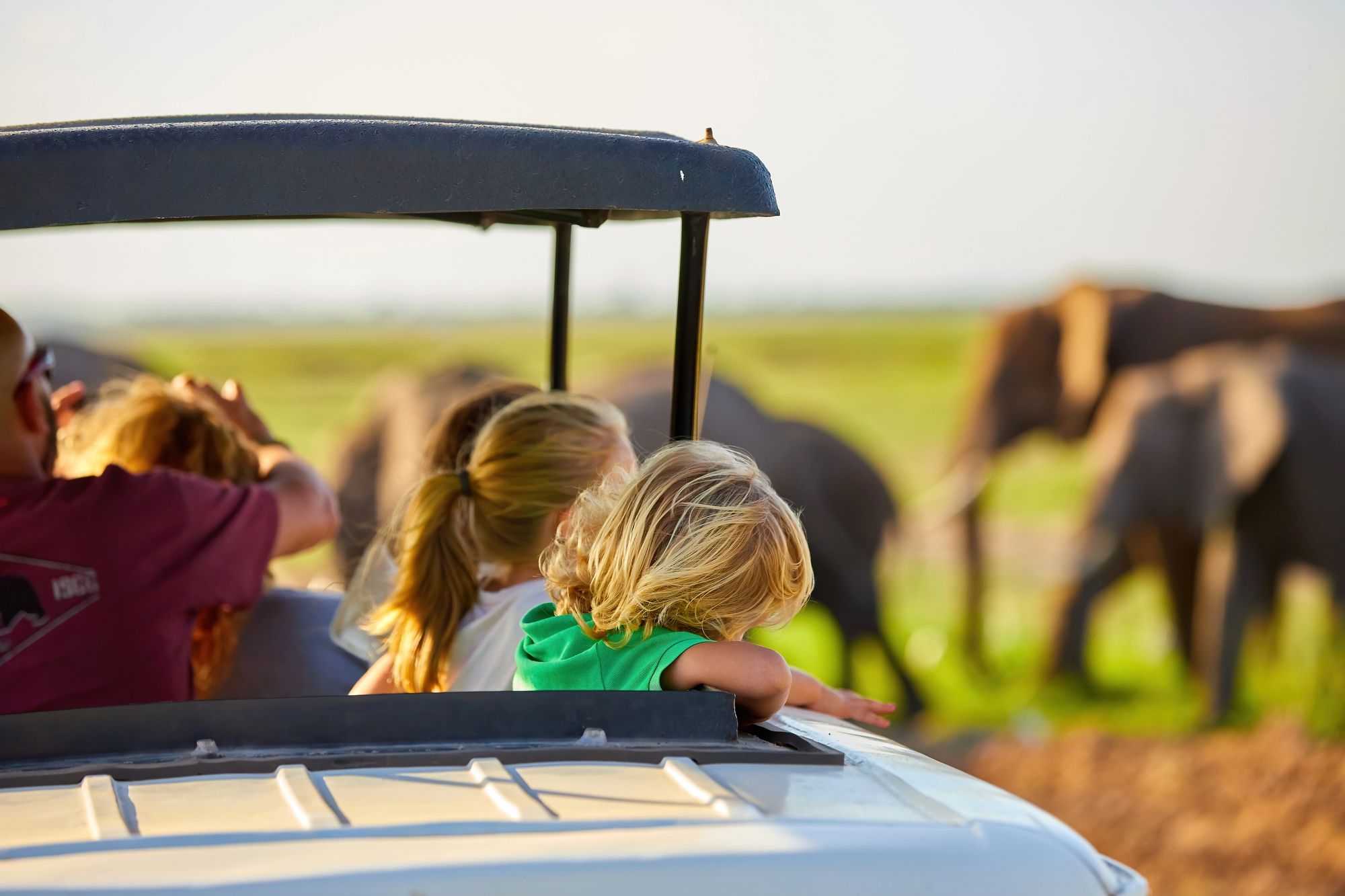 Children watching elephants from the roof hatch of a safari vehicle