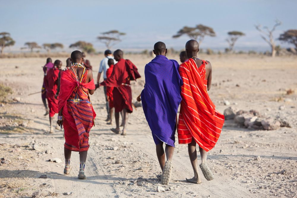 Maasai men walking across open savanna
